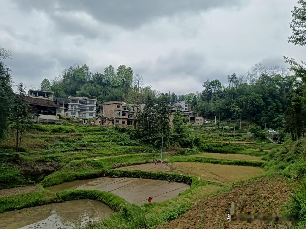 视图·原创｜黔南惠水：又是一年乡村田园耕种时

近日，随着谷雨时节的到来，乡村田