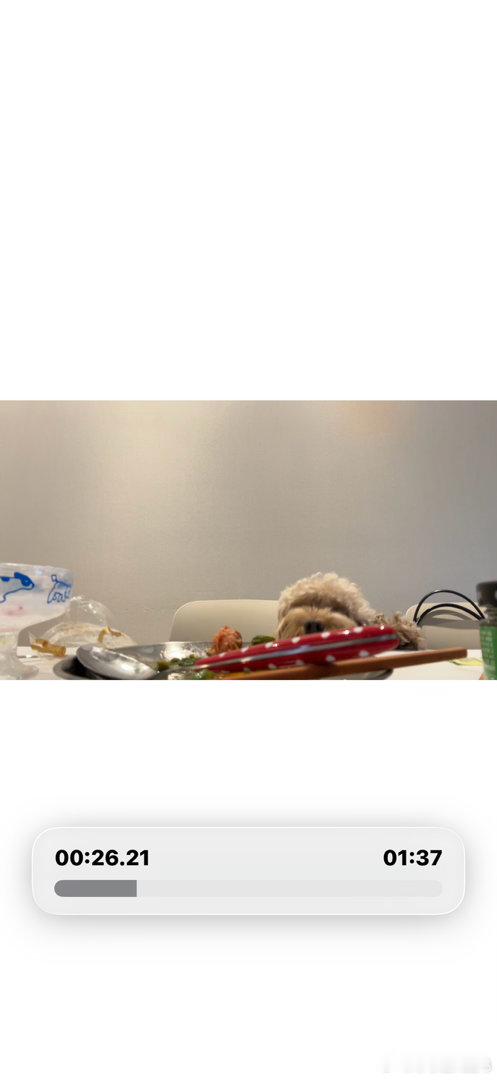 饼饼没通过人性测试。因为是一只小狗