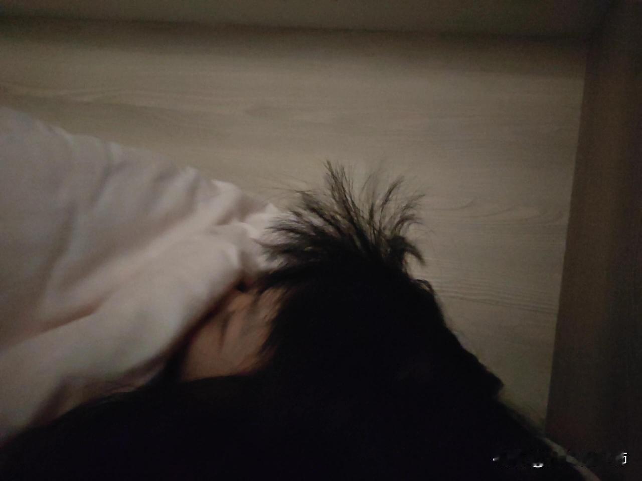 孩子月考前一晚熬夜到12点，我该叫她起床吗
现在是凌晨，孩子刚睡下。元旦放假三天