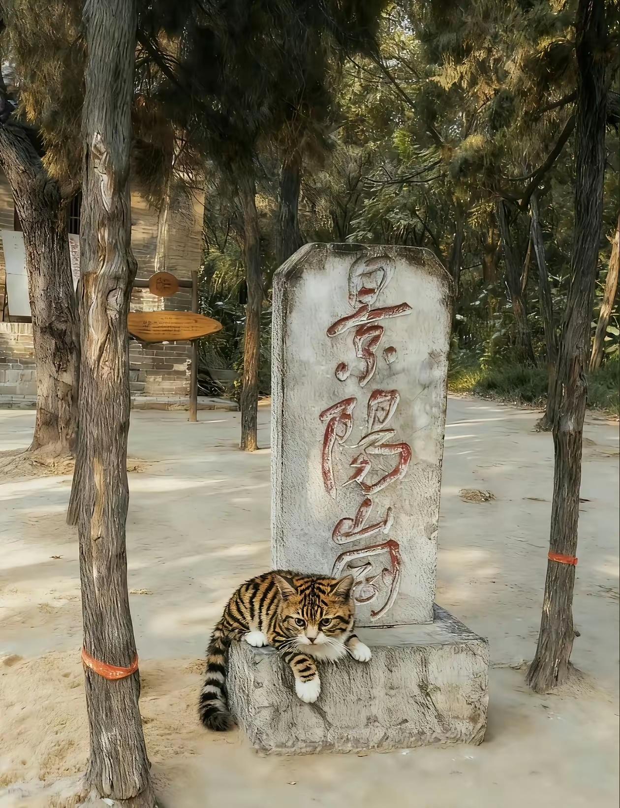 不是，你好像来错了地方[捂脸]