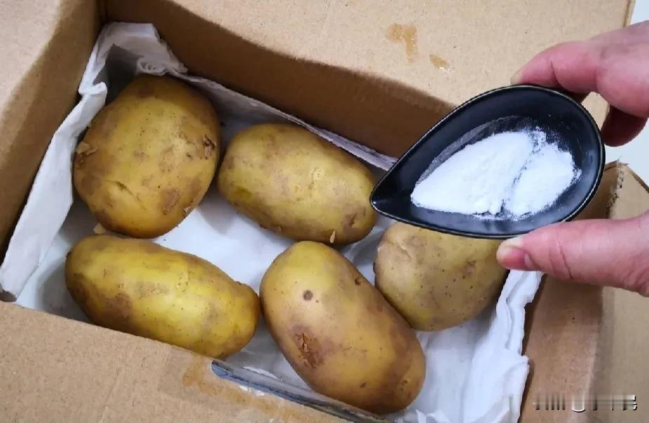 看着一筐一筐的土豆，生满了土豆芽，可真闹心？吃吧，害怕有毒，不吃吧，还太浪费了。