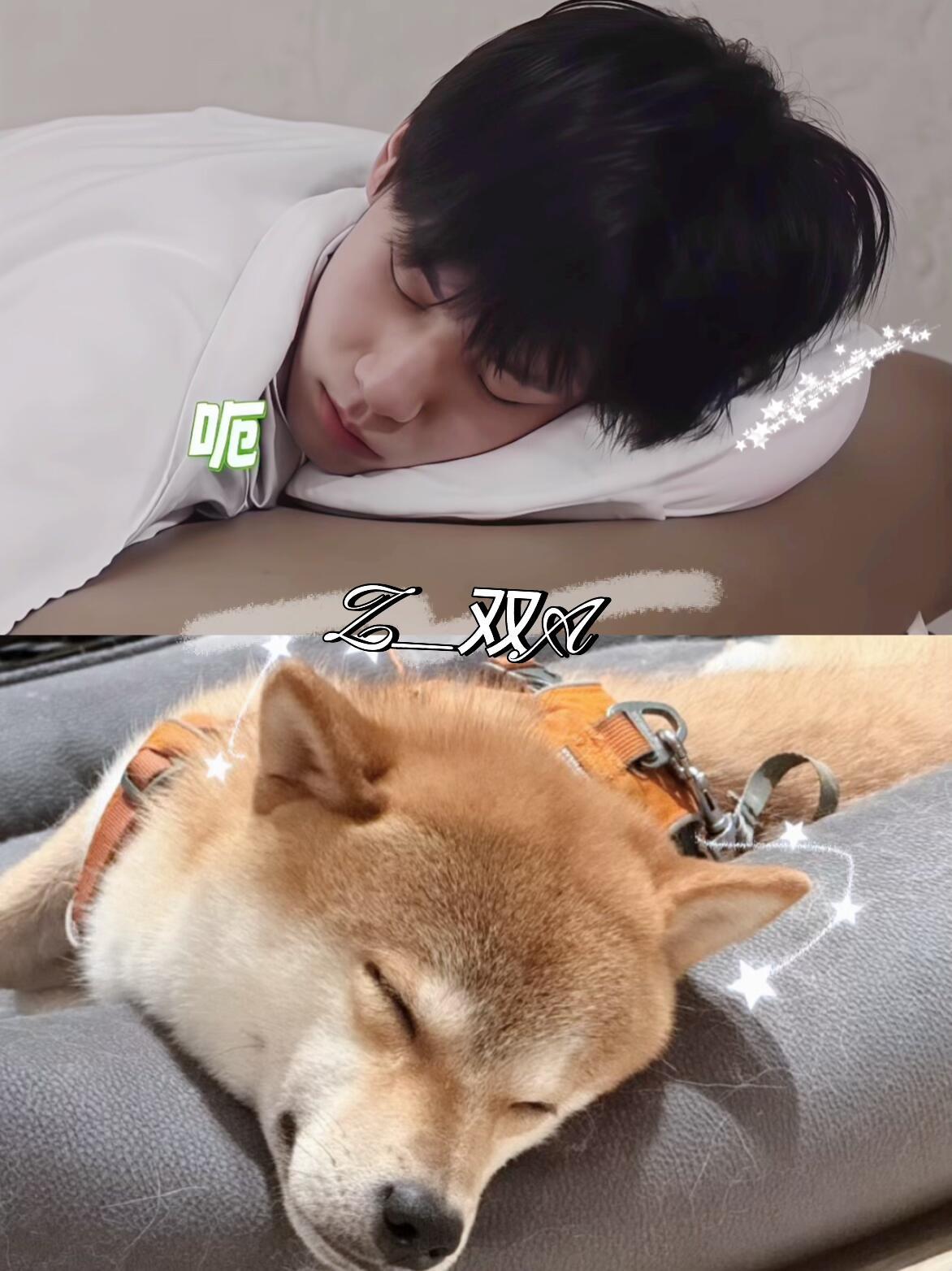 父子俩睡觉一模一样～ 张真源