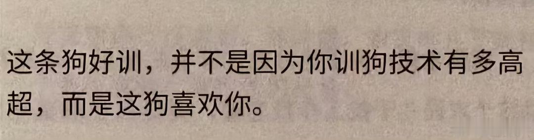 偶们博君一肖： 
