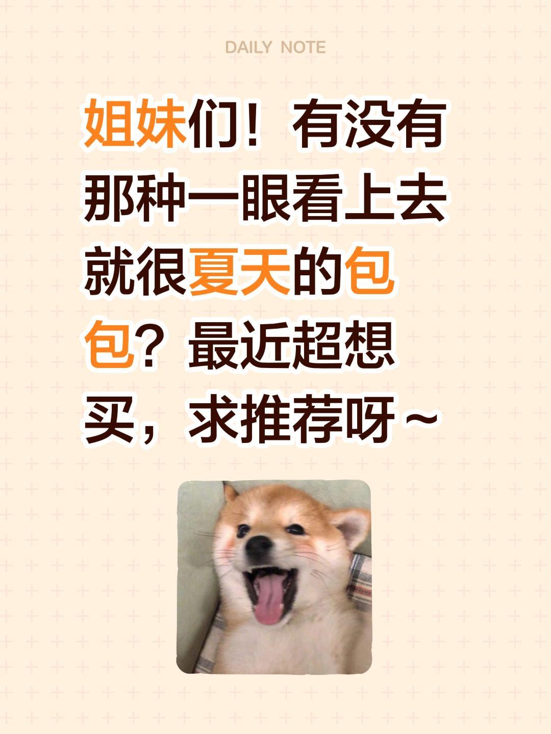 姐妹们！有没有那种一眼看上去就很夏天的包包？最近超想买，求推荐呀～