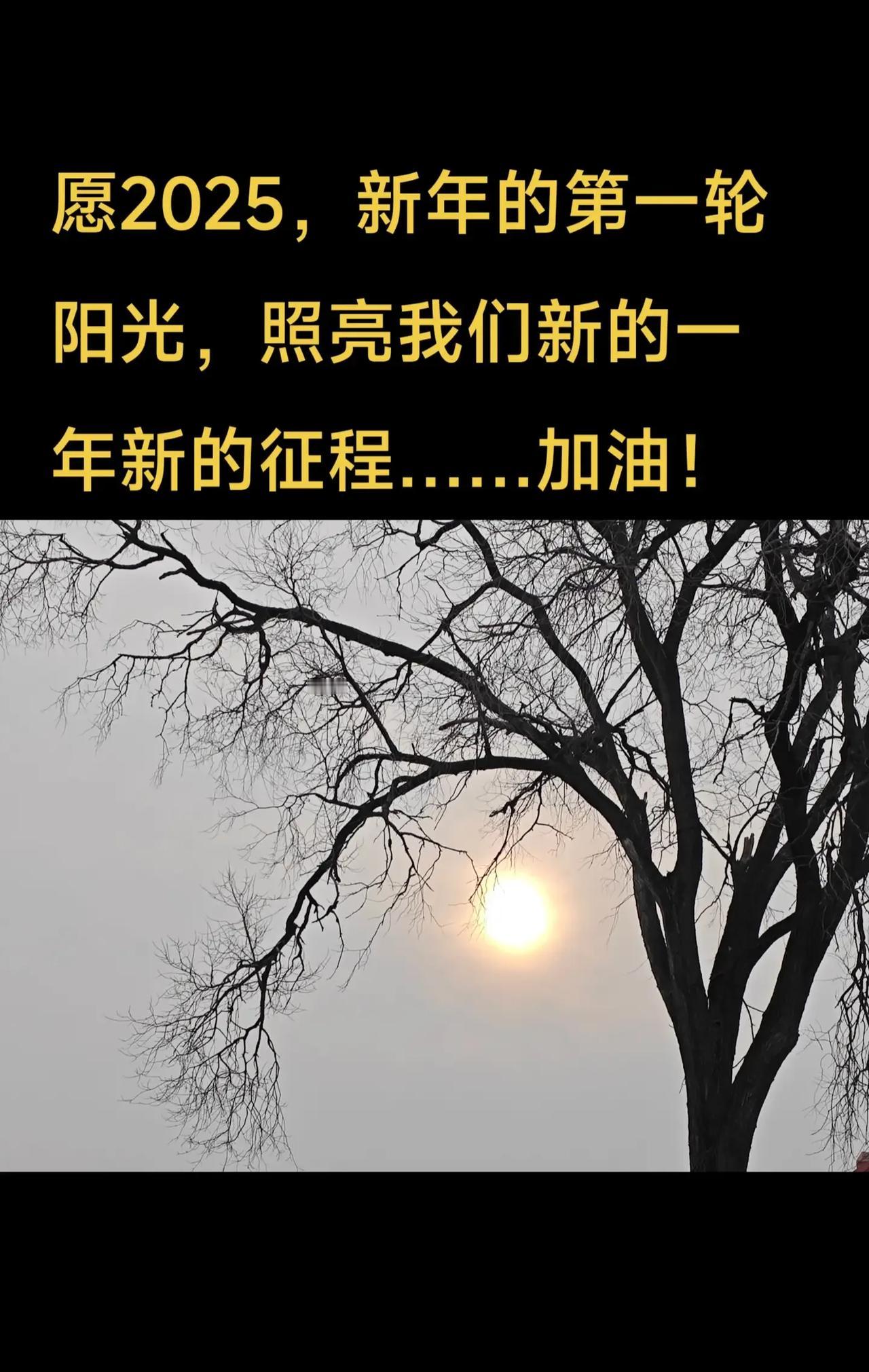 《寒心话》
有些事不需要答案，态度就是答案。原来自己从未很重要，只是偶尔被需要。