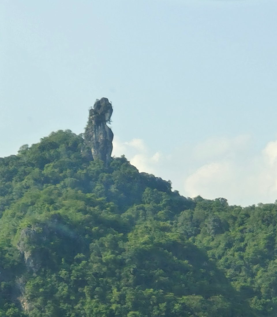 边给咪赚馒头边看风景
