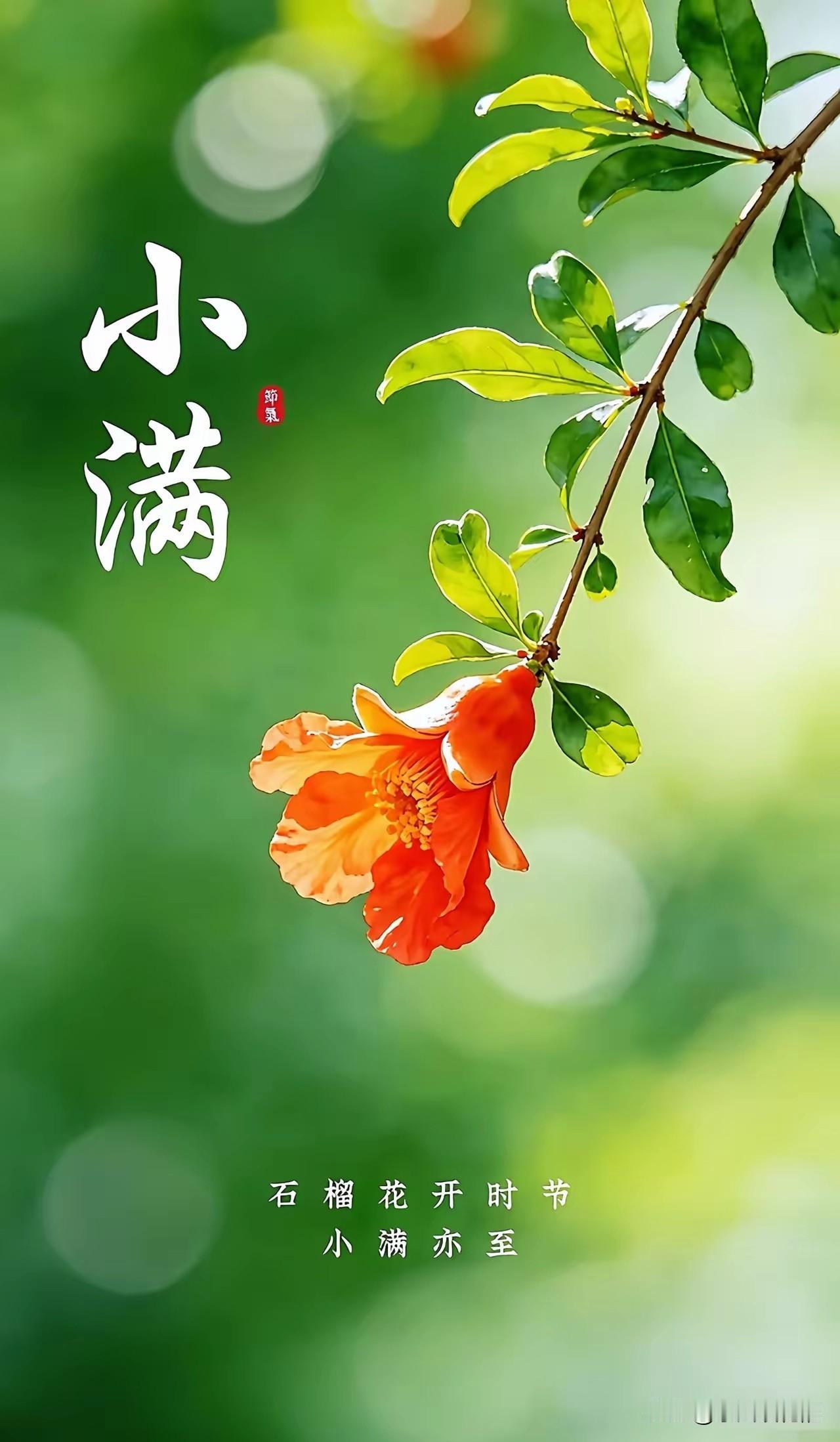 不求圆满，小满足矣。
今天是传统二十四节中的小满节气，也是夏天的第二个节气。
小