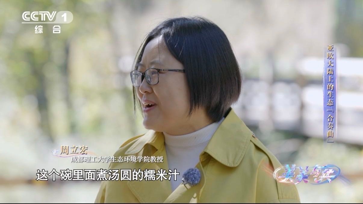九寨沟震后修复用了糯米汁  中国人的基建智慧有多厉害  把糯米汁用在基建上，古人