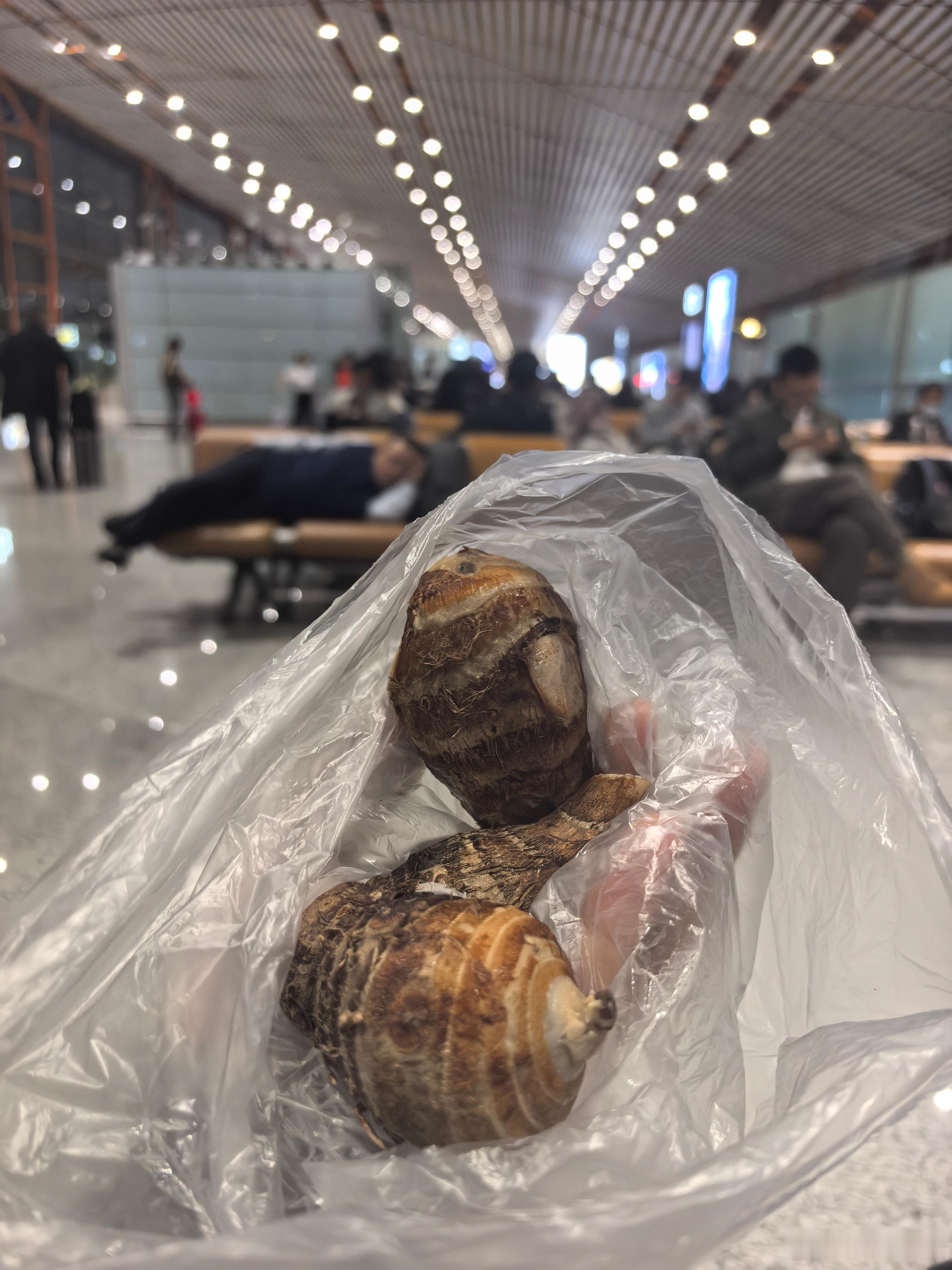 掏出我今日的干粮 