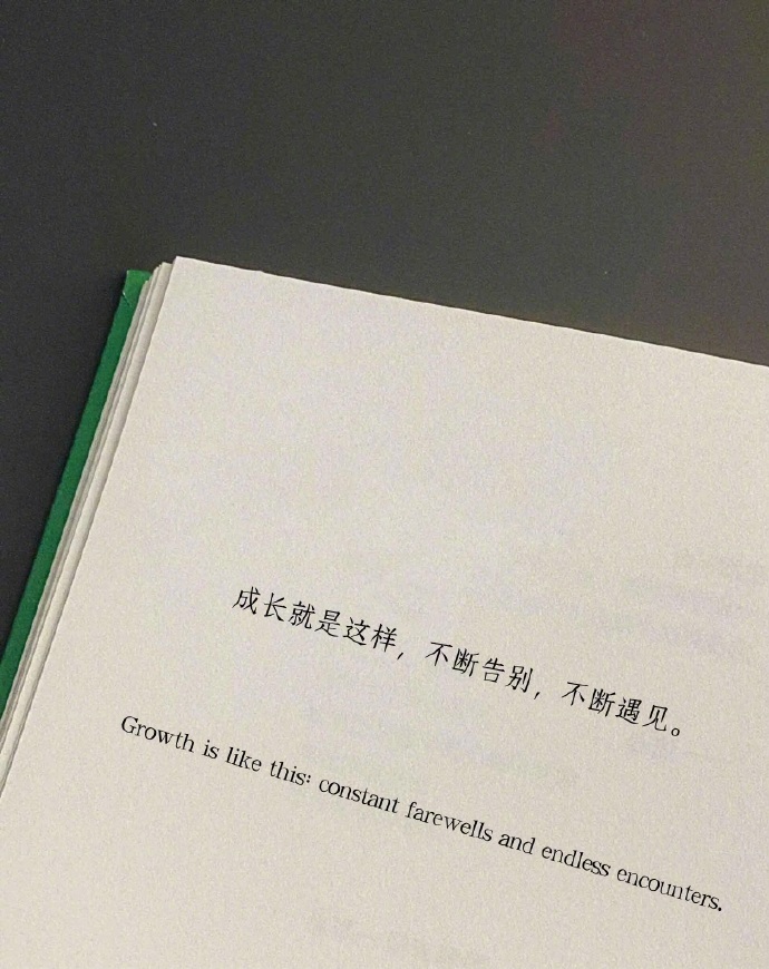 “成长就是这样，不断告别，不断遇见。” 
