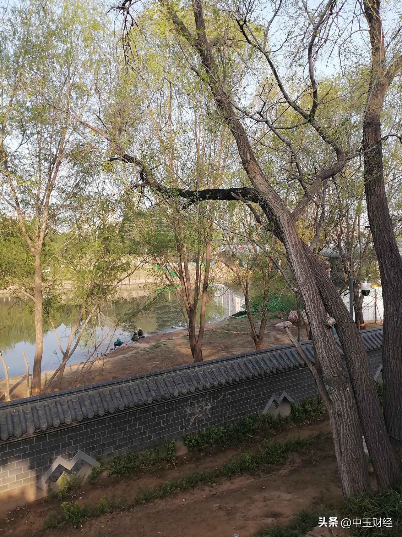 晒图笔记大赛春光明媚的季节，钓鱼者，到底是珍惜时间还是浪费时间呢？