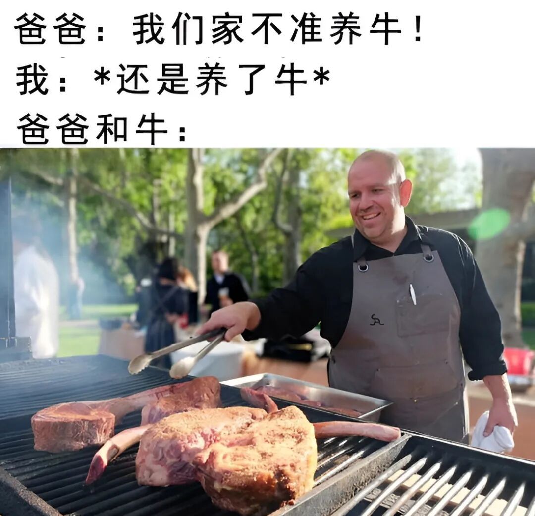 你就说是不是和牛吧memes