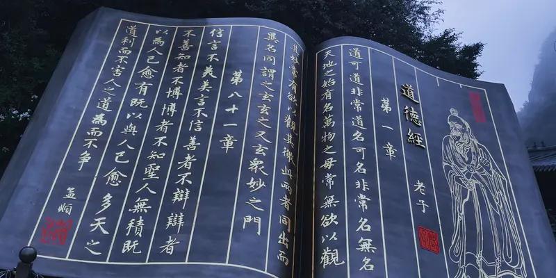 《道德经》里的一句话：明道若昧，进道若退。

光明的道路看起来却黑暗看不清，前进