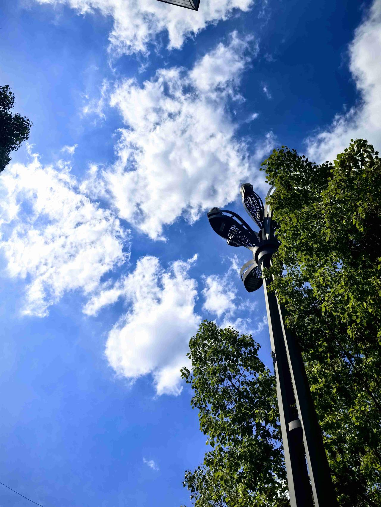 我的今日状态：😁轻松愉快
我这里的天气：☀️晴天
连续几天预报有雨，中午大太阳