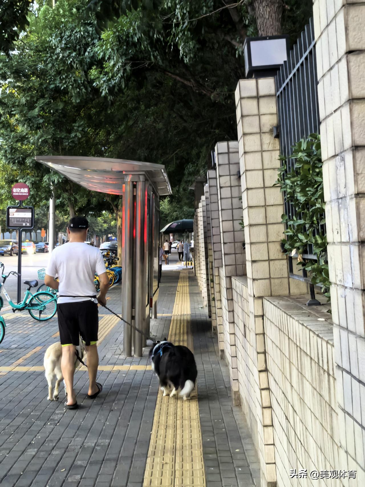 倾斜的颐慧佳园A区北墙