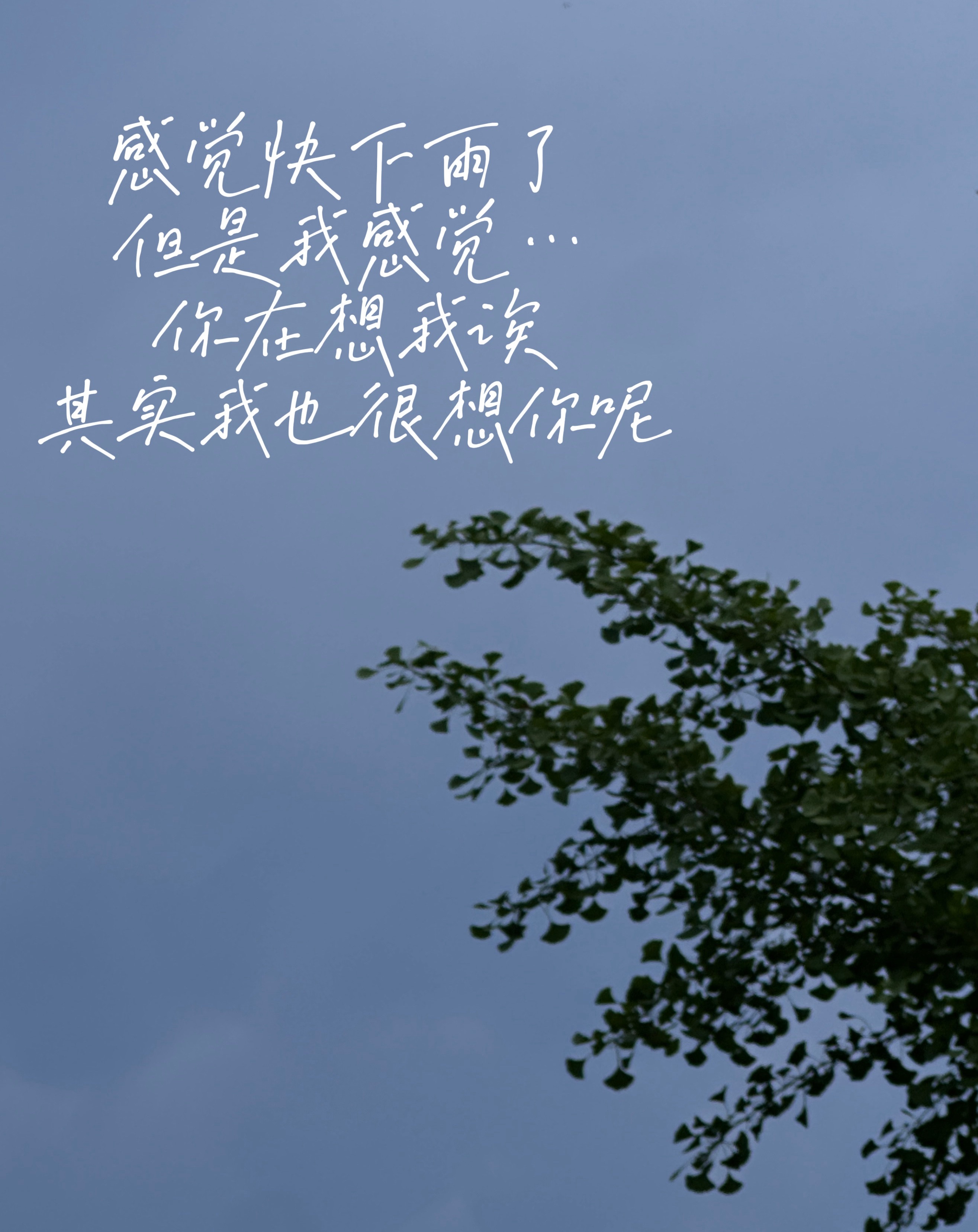 孩子...你到底咋了孩子，你不是刚14吗？ 