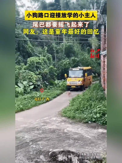 治愈瞬间
 
最朴素的偏爱莫过于此，小狗守在路口等候，满心欢喜迎接放学的小主人回