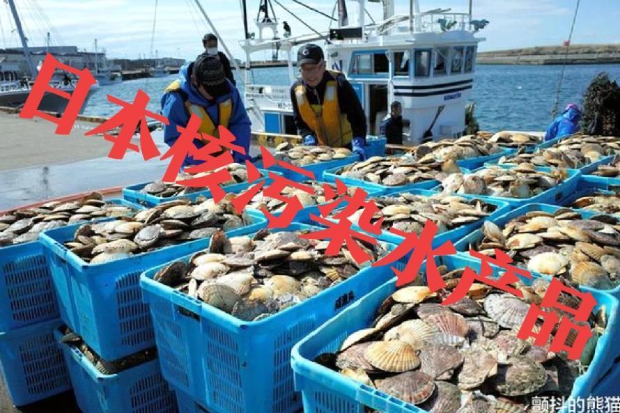 日本进口过来的海鲜，有谁敢说绝对不吃？站出来表个态！