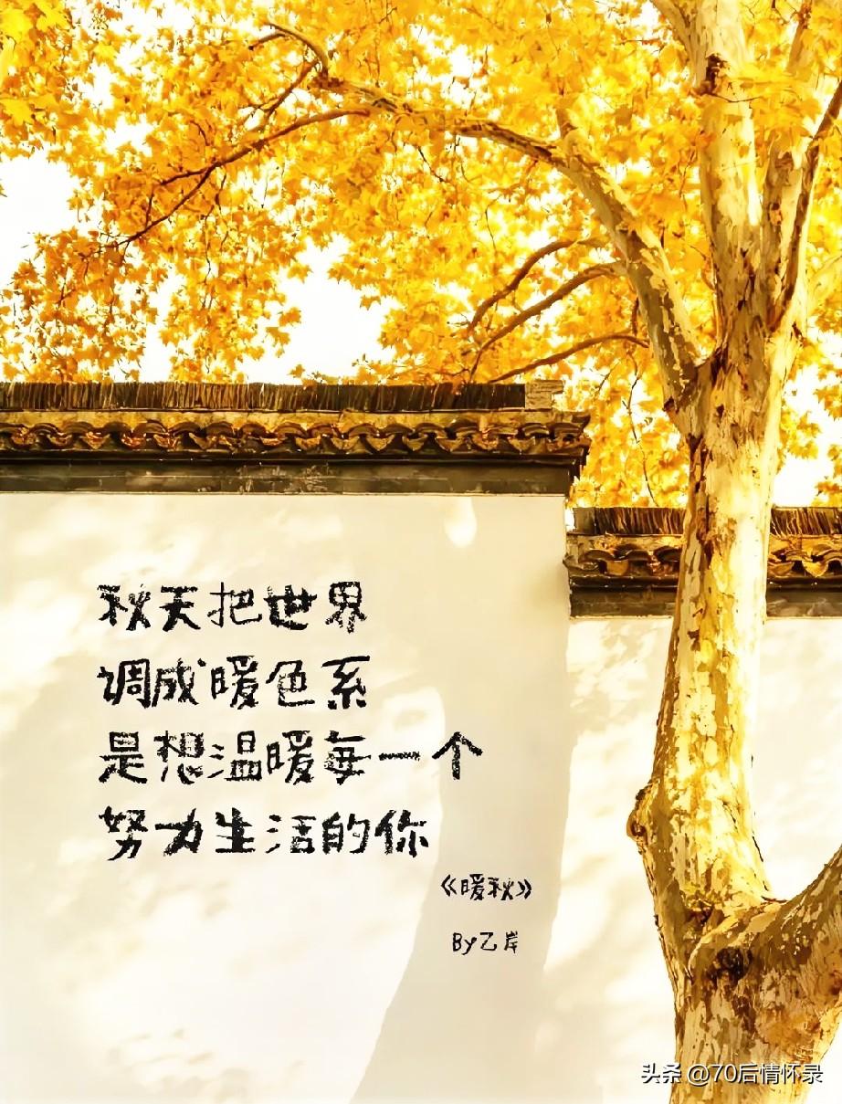 深秋薄念，静度流年：阅己、越己、悦己。

秋意渐浓，繁华落尽，天地归于素简，正是