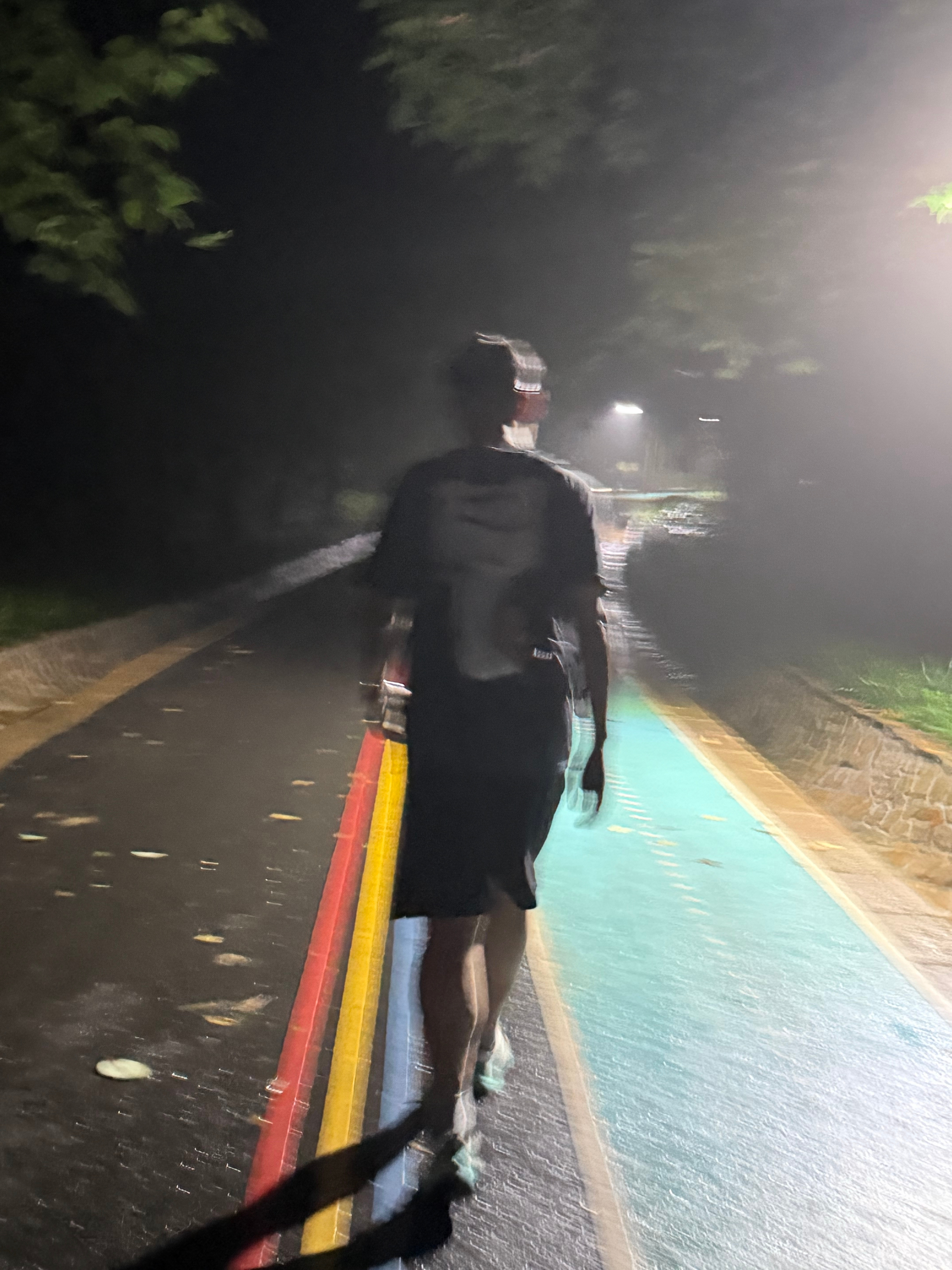今日份6.5公里打卡完成路上偶遇小黑和它的小伙伴累了 回家洗洗睡咯 晚安 