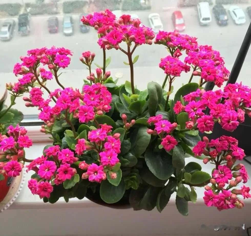 对琼瑶的选择,你是如何看待的?
       尊重琼瑶的选择，每个人都有不可言说