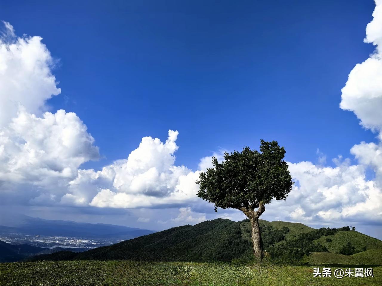 有人说，我们80后是最后一批孝顺父母的人了，这话虽有片面调侃的意味，但事实是，8
