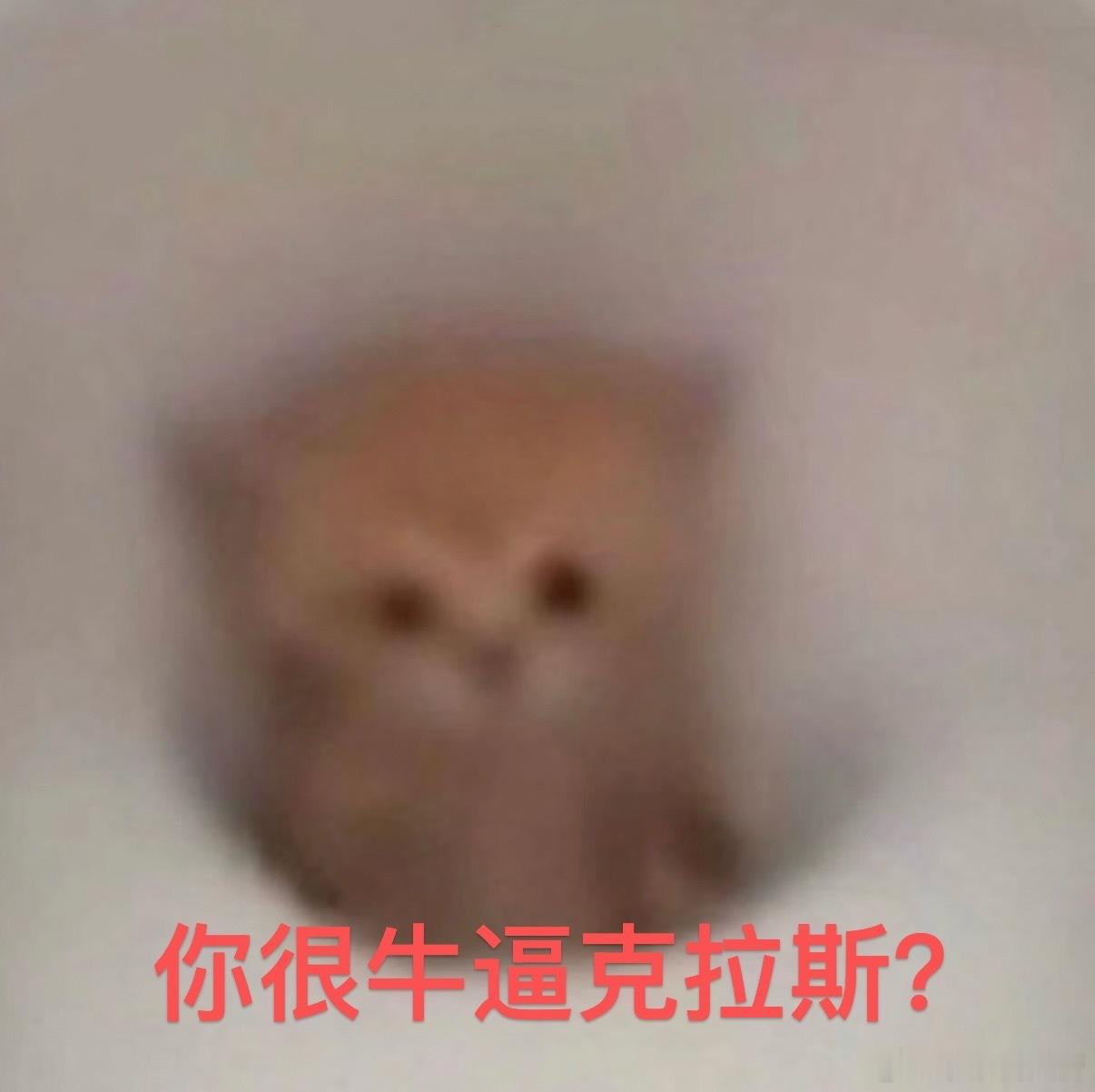 分享图片 