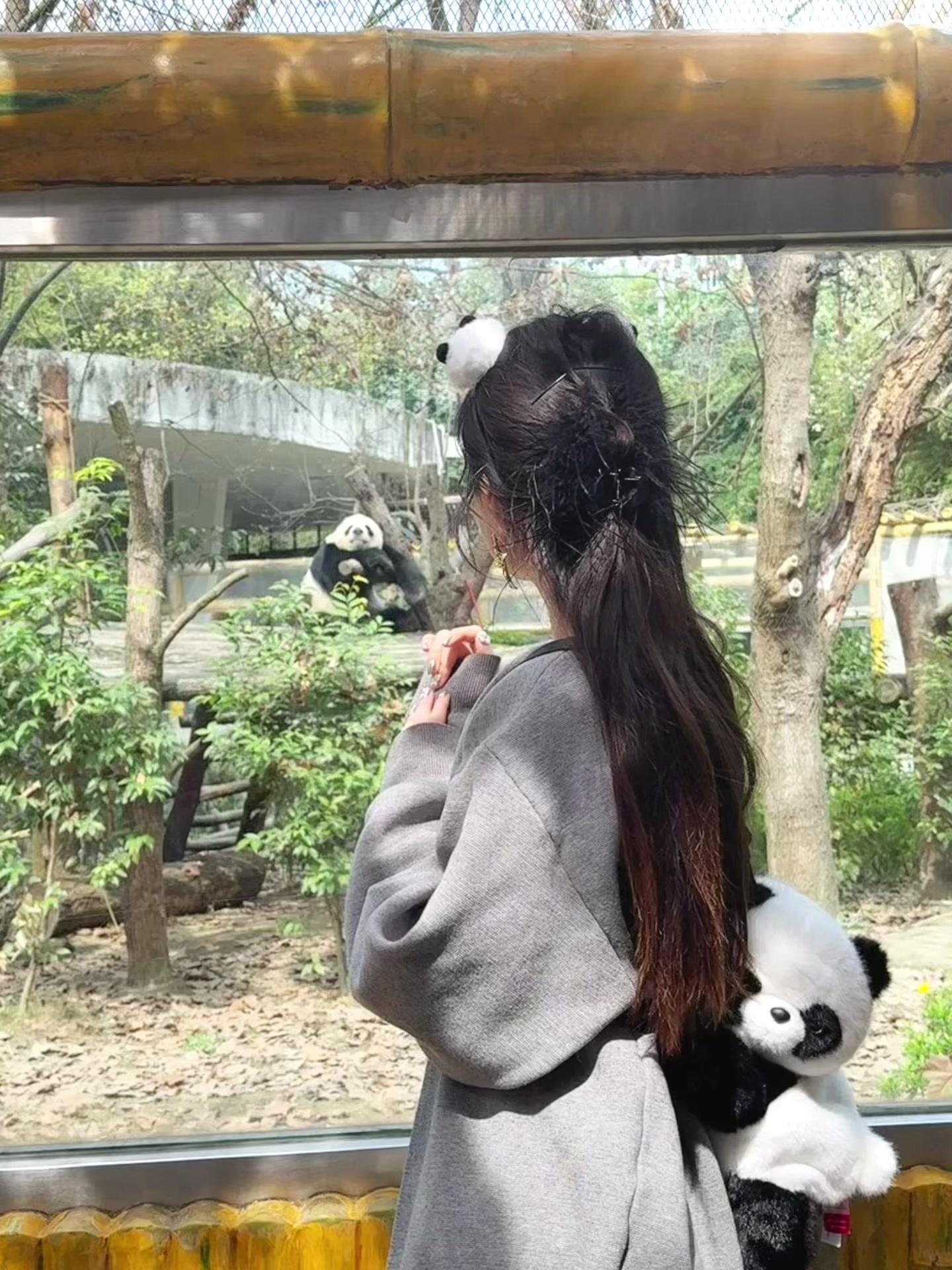 熊猫好可爱🐼