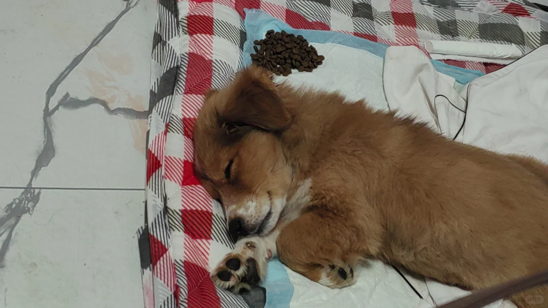 三个月就瘫痪了 到底是治疗还是安乐