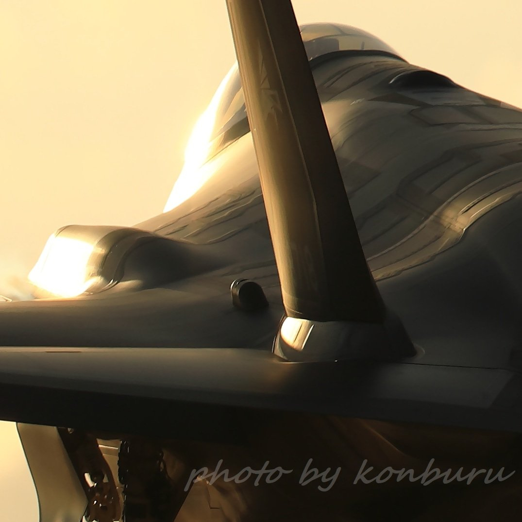 F-35的性感背脊 ​​​