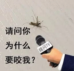 佛山释放不咬人蚊子捕食咬人蚊子以后打蚊子可得看好，千万别误伤友军 ​​​