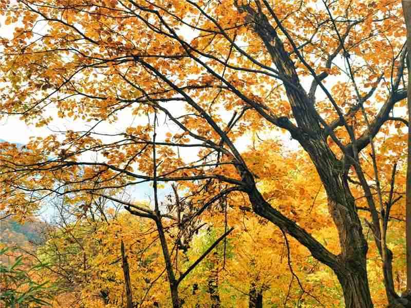 我的今日状态：😁轻松愉快
我这里的天气：☀️晴天