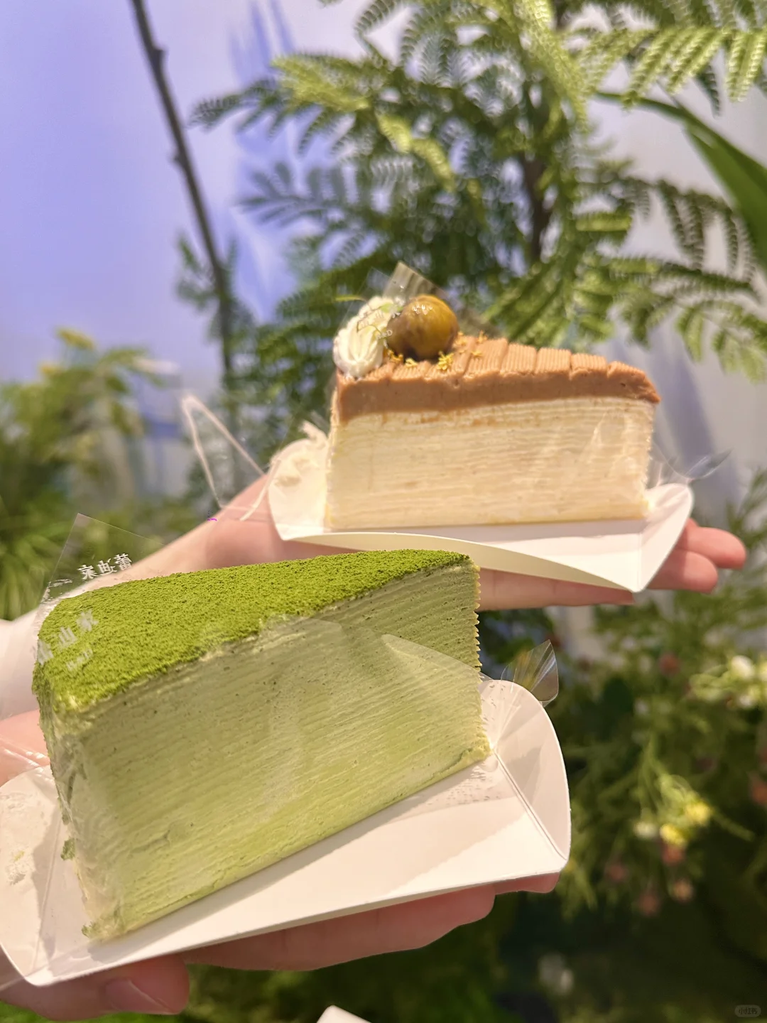 这家千层蛋糕…在惠州真的没有对手