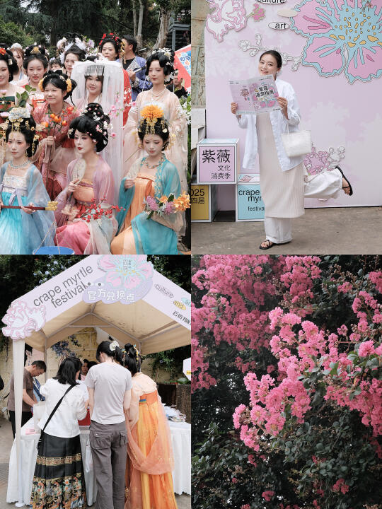 🌸昆明紫薇花季来咯~国风浪漫直接拉满！