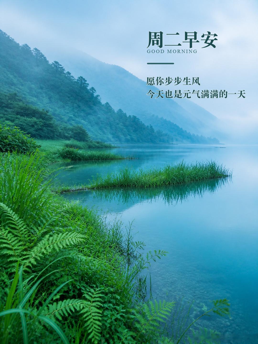 晨光落进窗台，把清晨照得一片明亮。愿你带着满格元气出发，步步生风，心里装满小欢喜