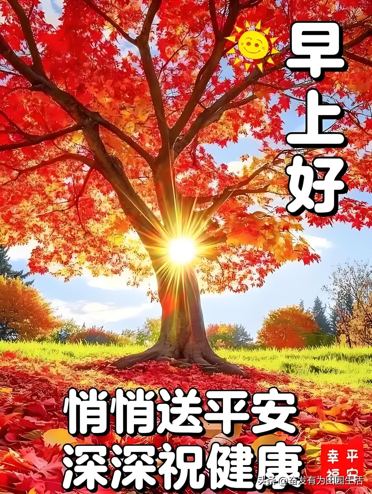 早安吉祥，平安健康，愿你一切安好！🍂🌞天天平安顺遂