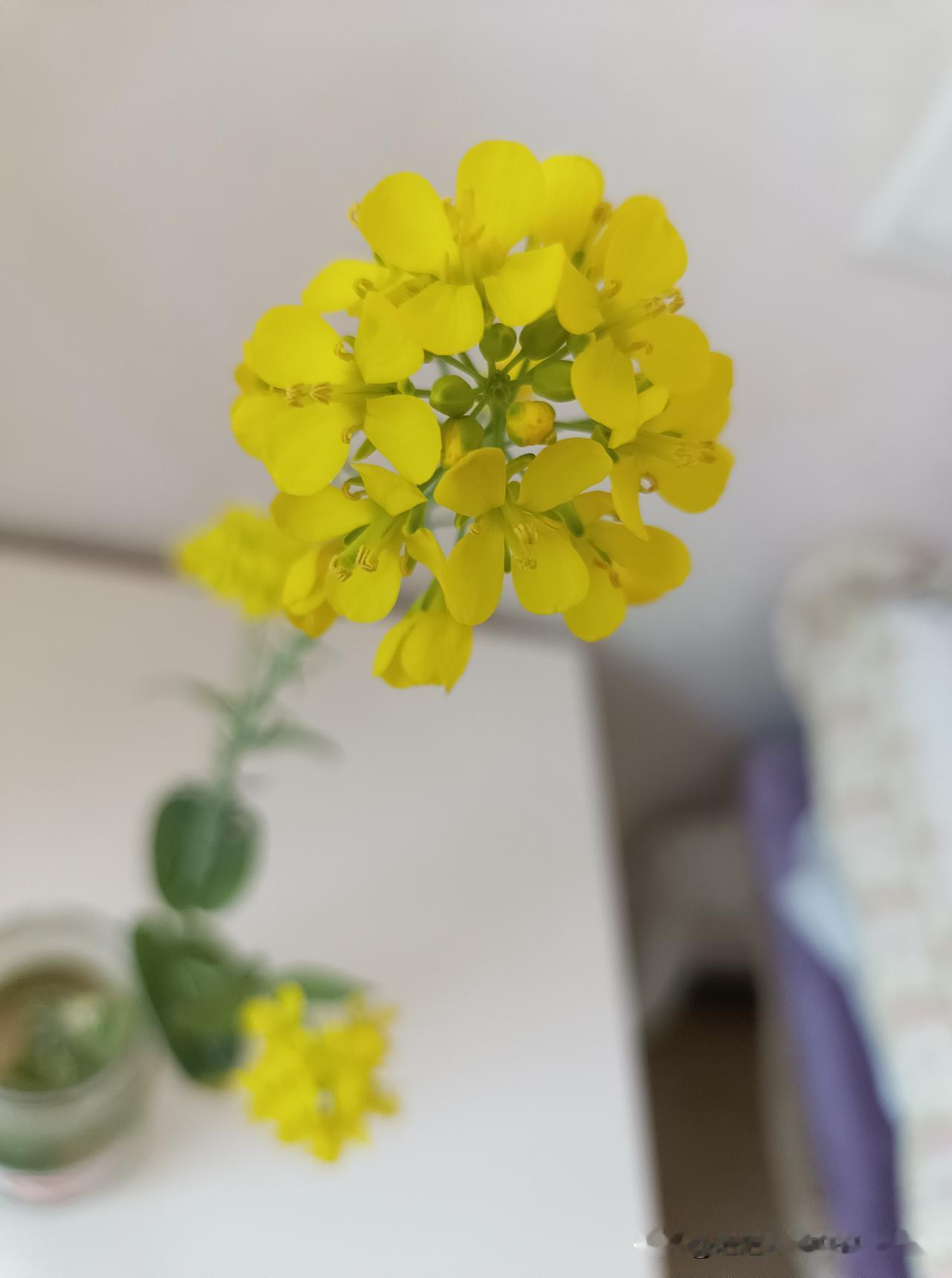 昨晚，在亲兄弟姐妹群，我被他们很夸张地使用了挺多的褒义词。

其实，我自己知道几