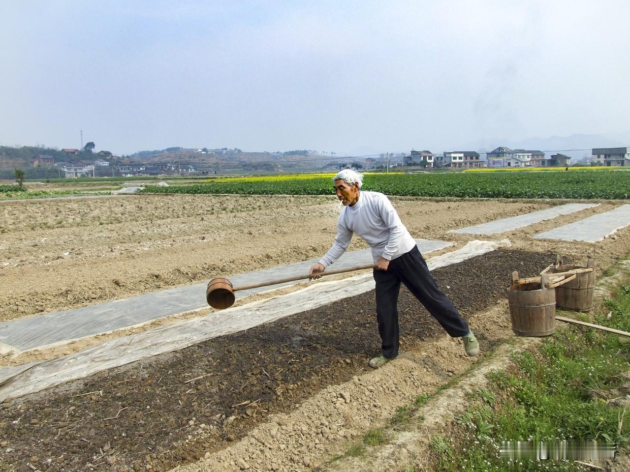 #上联: 读诗读词读谜语，请对下联#耕田耕地耕春秋。或：种田种地种阳春。