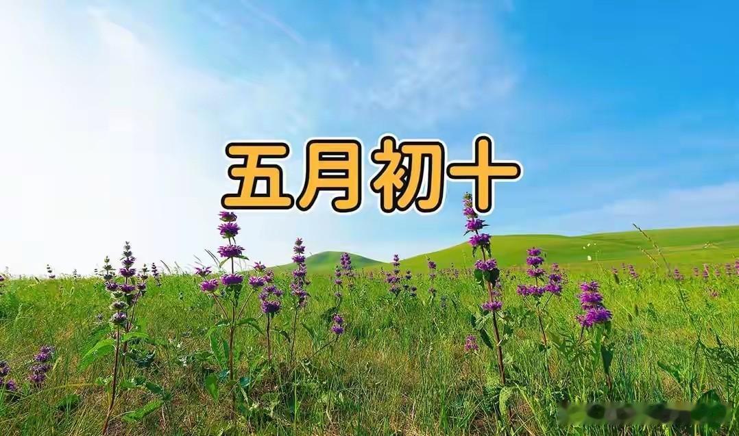 今日五月初十，讲究1要收，2要藏，吃3样，忌2事，安康富足日子顺
 
农历五月初