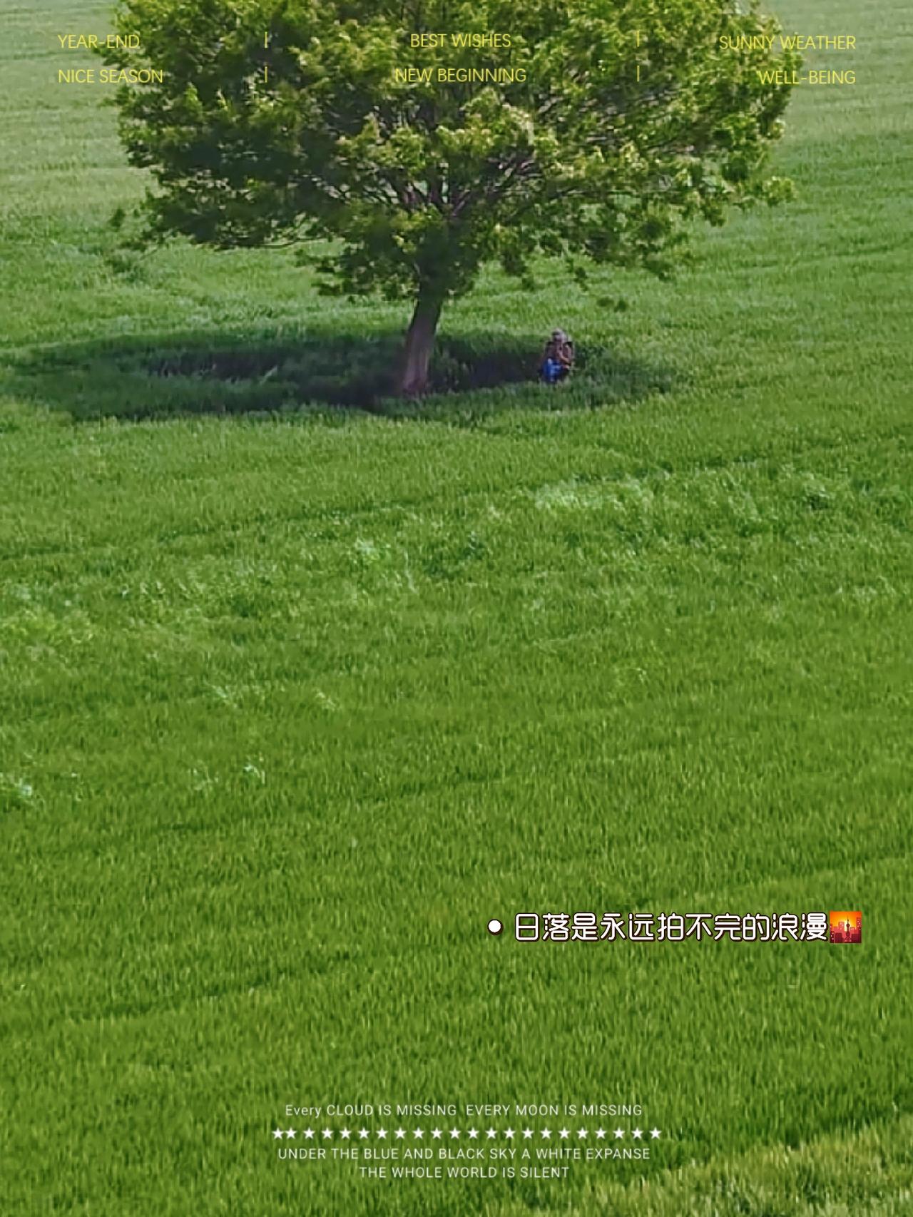 网上，你只要看见或听见“基本盘”并拿它出来说事的人，也基本就是以下几类群体。看完