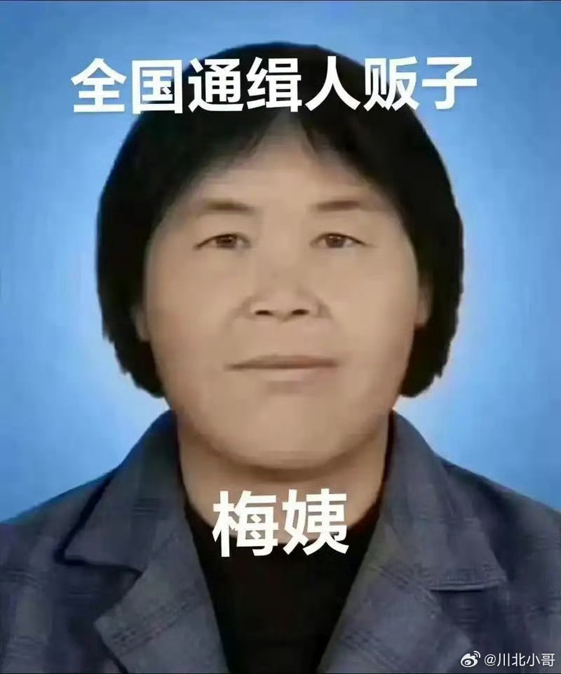 梅姨被逮捕当时要判人贩子张维平和周容平死刑的时候，我记得大家也有顾虑，一方面怀疑