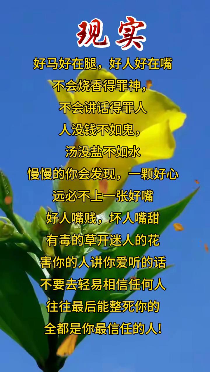 现实。
好马好在腿，好人好在嘴。不会烧香得罪神，不会讲话得罪人。人没钱不如鬼，汤