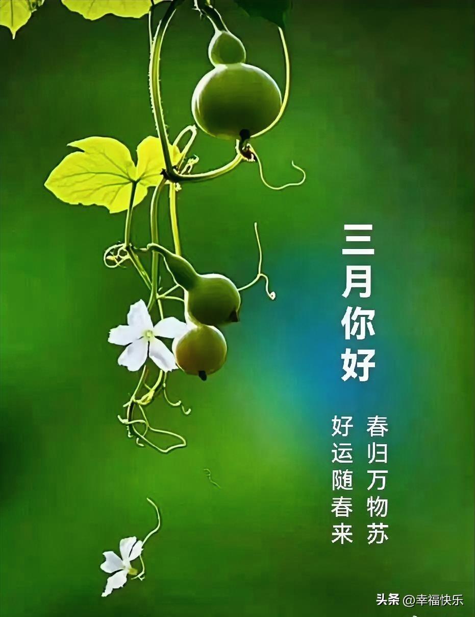 2026.03.01
周日，快乐