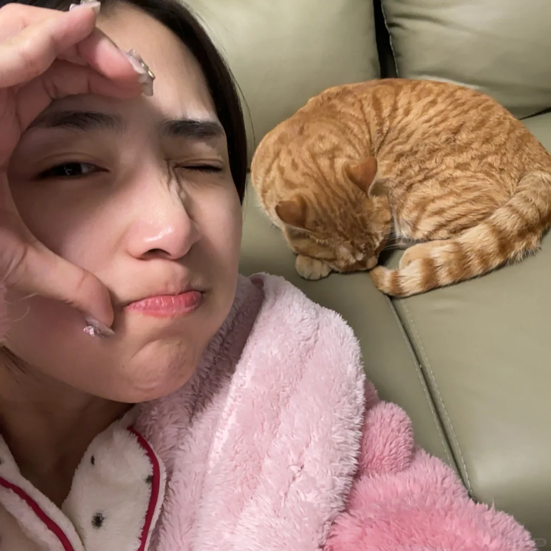 一只小猫突然闯入我家🐱