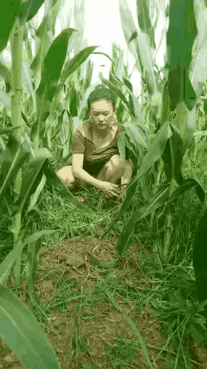 #天南地北大拜年# 一起领红包>
不管你在外面是老总、还是高管、还是职业白领过年