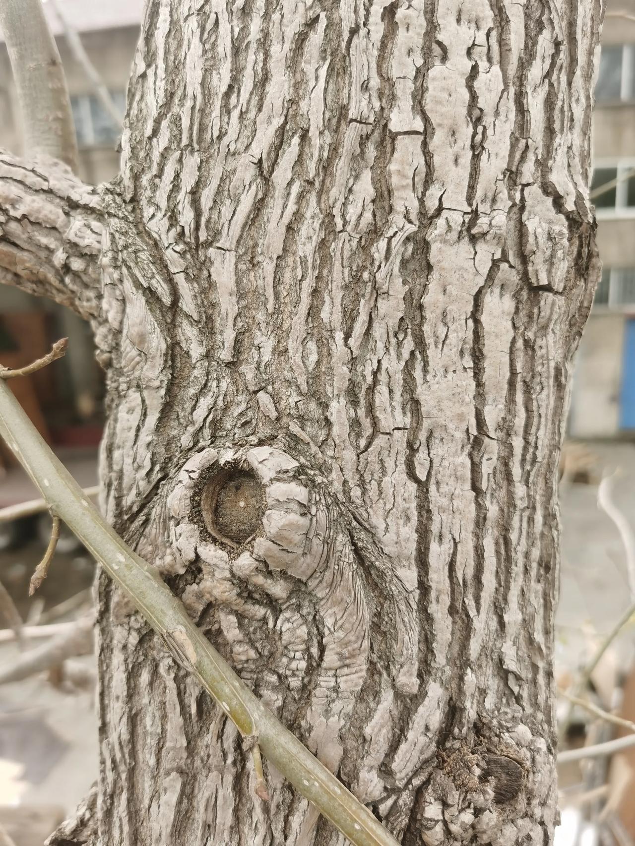“乡愁”如何用诗词来表达?
《临江仙·乡愁》
客路十年霜满袖，烟波江上归帆尽，唯