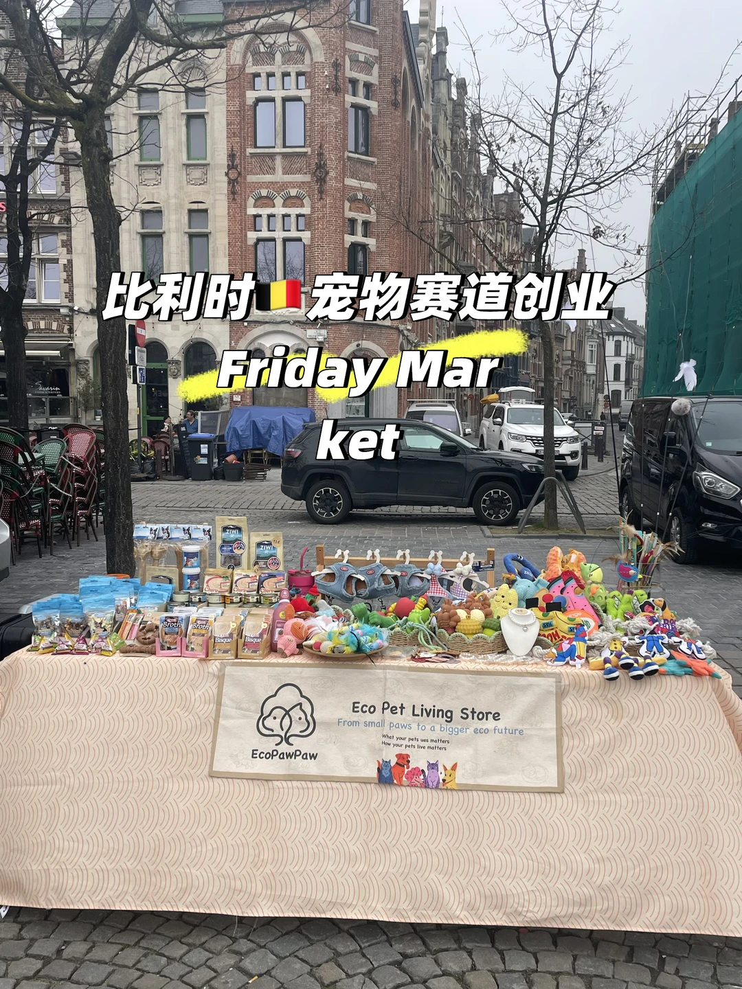 比利时🇧🇪宠物赛道创业｜今天天气还不错