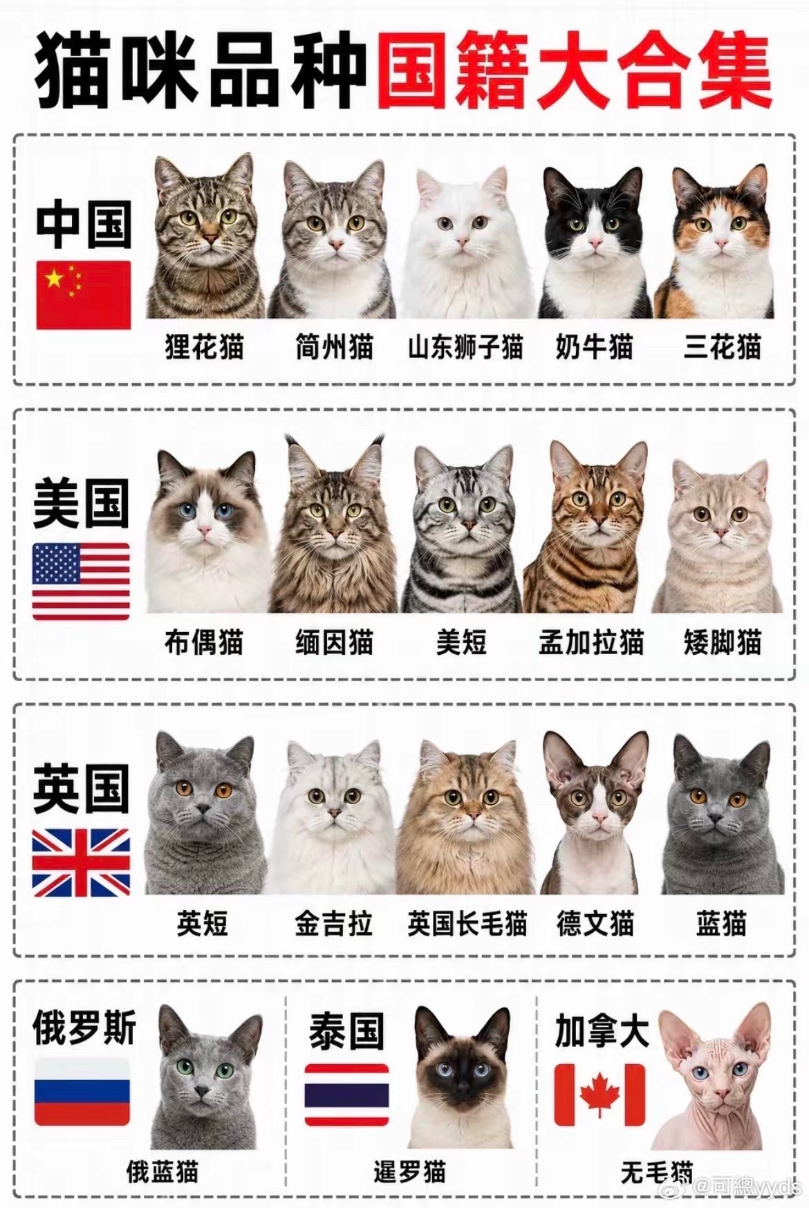 你家猫是哪个国家的？要是美国🇺🇸猫就饿它几顿制裁它[笑cry] ​​​