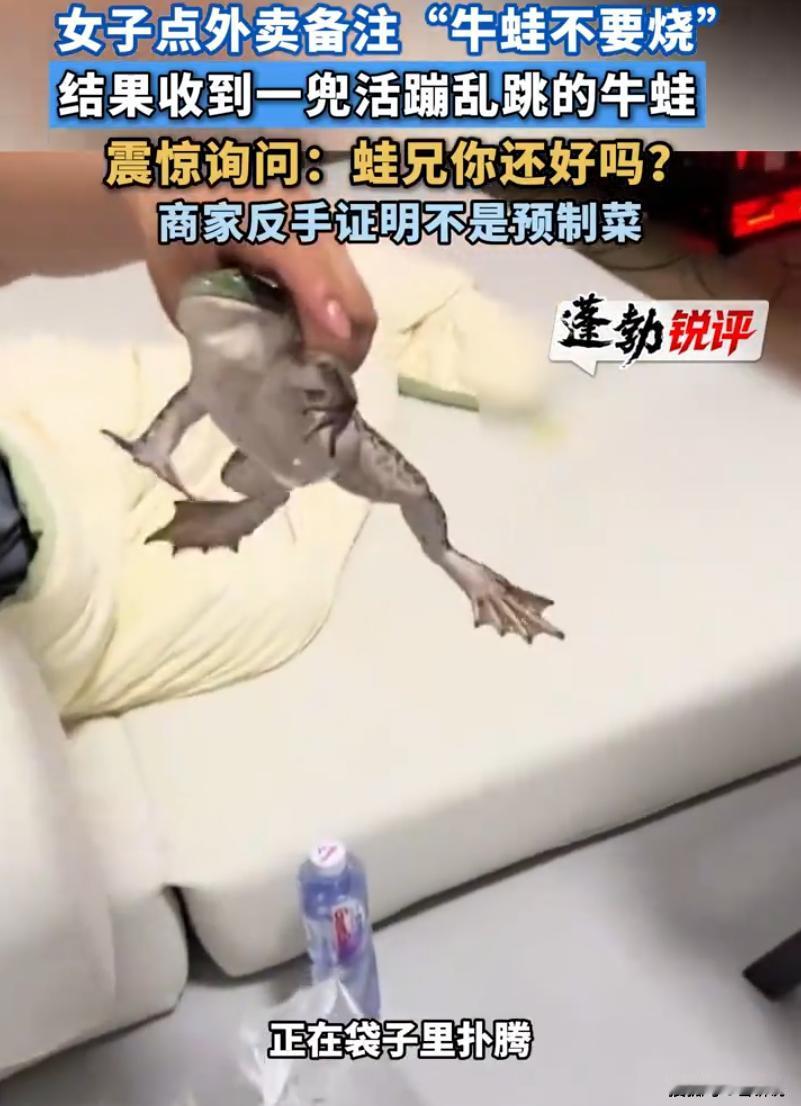 商家为了证明不是预制菜也是拼了！上海一女子点牛蛙外卖，付款后简单备注“不要烧牛蛙
