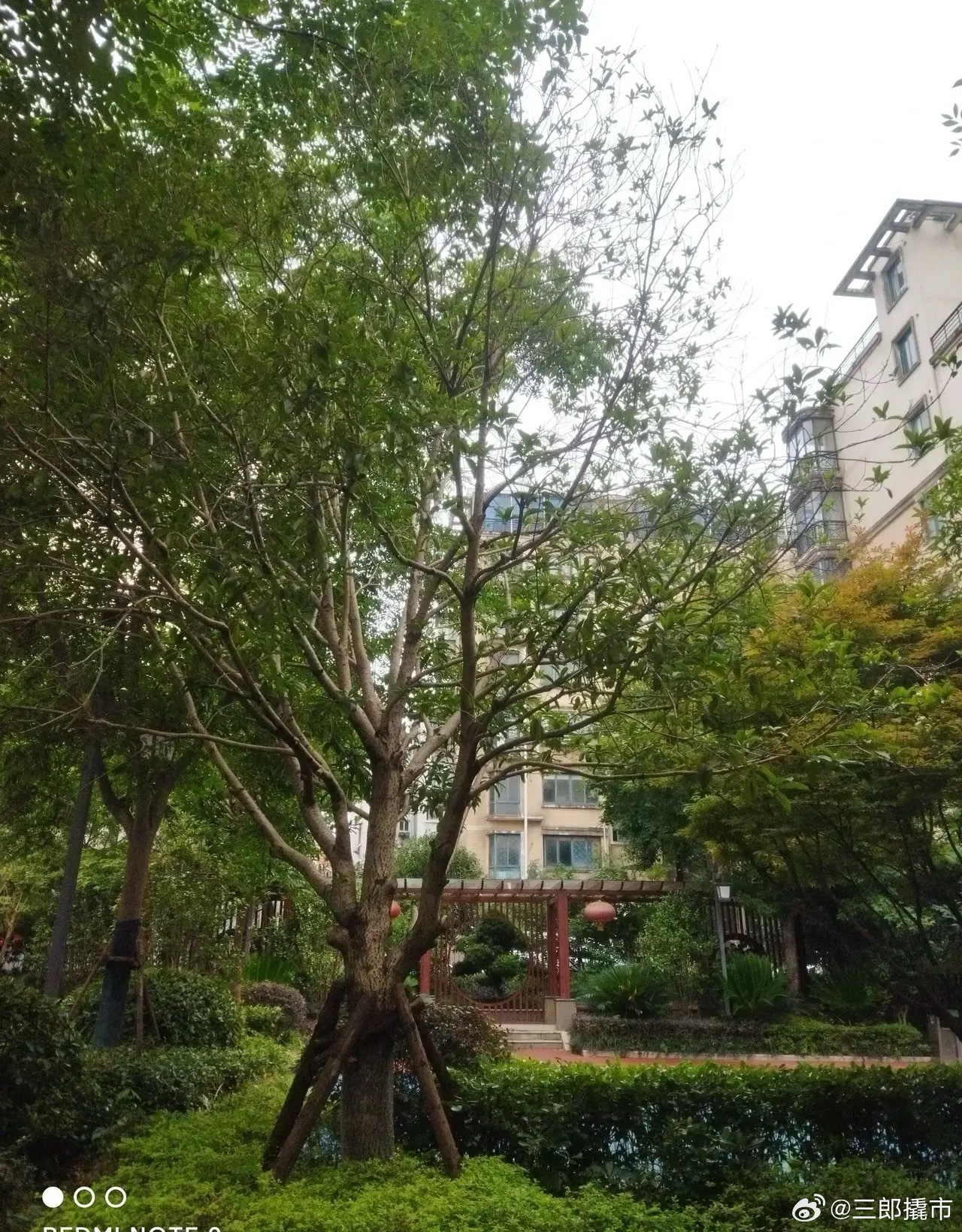 在股市亏钱是正常的     如果炒股那么好赚，还有谁会辛辛苦苦上班？在股市不但钱